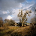 Ašašnykai, 2006,2007