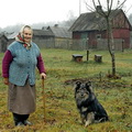 Kašėtos, 2006