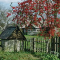 Mančiagirė, 2006