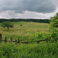 Peizažai, 2006,2007