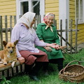 Viršrodukis, 2007