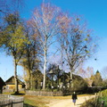 Zervynos, 2006,2007