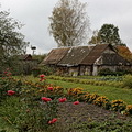 Kalviai