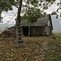 Miciūnai