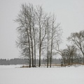 Mažeikių r., Purpliai, 2009