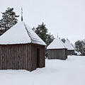 Plungės r., Beržoras, 2007-2010
